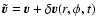 $\tilde{\vec{v}} = {\vec{v}} + \delta {\vec{v}}(r,\phi,t)$