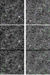 \begin{figure}
\par\includegraphics[width=4.4cm]{fig/7217fg4a}\hspace*{2mm}
\in...
...7217fg4e}\hspace*{2mm}
\includegraphics[width=4.4cm]{fig/7217fg4f}
\end{figure}