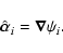 \begin{displaymath}\hat{\vec\alpha}_i=\vec\nabla \psi_i .
\end{displaymath}