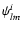 $\psi^i_{lm}$