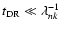 $t_{\rm DR} \ll \lambda_{nk}^{-1}$