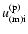 $u^{\rm (p)}_{\rm (m) i}$