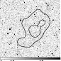 \begin{figure}
\par\includegraphics[width=7.5cm,clip]{7243fa33.ps}\end{figure}