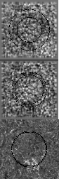\begin{figure}
\par\includegraphics[width=7.33cm, height=7.33cm]{7595F7_a.eps}\p...
....eps}\par\includegraphics[width=7.33cm, height=7.33cm]{7595F7_c.eps}\end{figure}