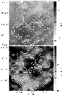 \begin{figure}
\par\includegraphics[width=8cm,clip]{7474fig10.eps} \end{figure}