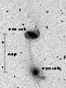 \begin{figure}
\par\includegraphics[width=5.5cm,clip]{6005fig1.eps} \end{figure}