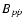 $B_{p\dot{p}}$