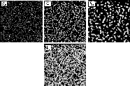 \begin{figure}
\par\includegraphics[width=16.5cm,clip]{7880fig7.eps}
\end{figure}