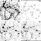 \begin{figure}
\par\includegraphics[width=15.5cm,clip]{7880fig12.eps}
\end{figure}
