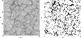 \begin{figure}
\par\mbox{ \includegraphics[width=7.3cm,clip]{7880fig1a.eps} \includegraphics[width=7.3cm,clip]{7880fig1b.eps} }
\end{figure}