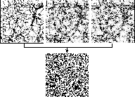 \begin{figure}
\par\mbox{\includegraphics[width=17cm]{7880fig4.eps} }
\end{figure}