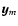 $\vec{y}_m$