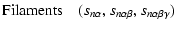 $\displaystyle {\rm Filaments}\quad(s_{n\alpha},s_{n\alpha\beta},s_{n\alpha\beta\gamma})$