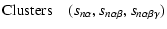 $\displaystyle {\rm Clusters}\quad(s_{n\alpha},s_{n\alpha\beta},s_{n\alpha\beta\gamma})$