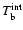 $T_{\rm b}^{\rm int}$