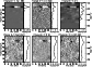 \begin{figure}
\par\includegraphics[angle=90,width=7.35cm,clip]{8617fig2.ps}\end{figure}