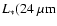 $L_*(24~\mu{\rm m}$