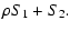 $\displaystyle \rho S_1+S_2.$