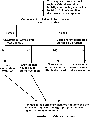\begin{figure}
\par\includegraphics[width=8cm,clip]{7105fig1.eps}\end{figure}