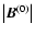 $\left\vert\vec{B}^{(0)}\right\vert$