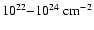 $10^{22}{-}10^{24}~\rm {cm^{-2}}$