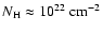$N_{\rm H}\approx10^{22}~\rm {cm^{-2}}$