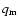 $q_{\rm m}$