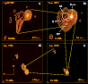 \begin{figure}
\par\includegraphics[width=8.5cm,clip]{8448fig1.eps}\end{figure}