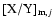 $[{\rm X/Y}]_{{\rm m},j}$