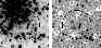 \begin{figure}
\par\includegraphics[width=4cm,clip]{8950f4a.eps}\hspace*{1mm}
\includegraphics[width=4cm,clip]{8950f4b.eps}\end{figure}