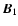 $\vec B_1$