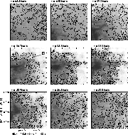 \begin{figure}
\par\includegraphics[width=15.8cm,clip]{8339fig1.eps}\end{figure}