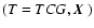 $(T=TCG,\mbox{\boldmath$X$ })$