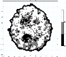 \begin{figure}
\par\includegraphics[width=8.5cm,clip]{8424fig9.eps}\end{figure}