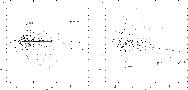 \begin{figure}
\par\includegraphics[width=8.3cm,clip]{8652f5a.eps}\hspace*{3mm}
\includegraphics[width=8.3cm,clip]{8652f5b.eps}
\end{figure}