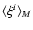 $\langle \xi^i\rangle _M$