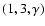 $(1,3,\gamma)$