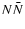 $N\bar{N}$