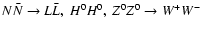 $N\bar N \rightarrow L\bar L,~ H^0H^0,~ Z^0Z^0 \rightarrow W^+W^-$