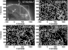 \begin{figure}
\par\includegraphics[width=8.7cm,clip]{8575fig3.eps}\end{figure}