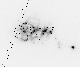 \begin{figure}
\par\includegraphics[width=7cm,clip]{8916fig1.eps} \end{figure}