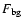 $F_{\rm bg}$