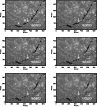 \begin{figure}
\par\includegraphics[width=8.5cm,clip]{7973fig3.ps}\end{figure}