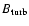 $B_{\rm turb}$