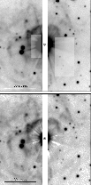 \begin{figure}
\par\includegraphics[width=9.0cm, angle=0]{8961fig3a.eps}\par\vsp...
....2cm}
\par\includegraphics[width=9.0cm, angle=0]{8961fig3b.eps}\par
\end{figure}