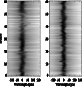 \begin{figure}
\par\includegraphics[height=7.6cm,width=7.2cm,clip]{8642f6.eps}\end{figure}