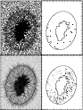 \begin{figure}
{\resizebox{8cm}{!}{\includegraphics{8409C1.ps}} }\end{figure}