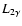 $L_{2\gamma}$