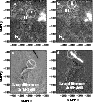 \begin{figure}
\par\includegraphics[width=8.2cm,clip]{8977fig3.eps}\end{figure}