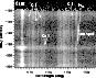 \begin{figure}
\par\includegraphics[width=7.6cm,clip]{8977fig1.eps}\end{figure}